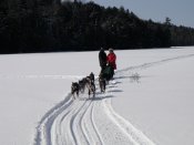 Portage Ontario News - Outward Bound dog sledding 2011